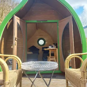 Campsite Leaf